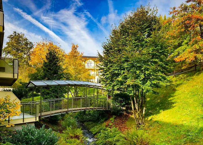 Marburg Im Park Hotel 4*