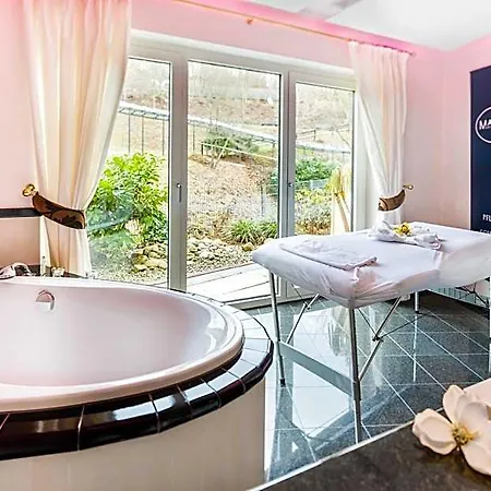 Marburg Im Park Hotel 4*